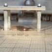 We zien 2 vissen en 4 broden. Christus is het vijfde Levendige brood.