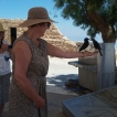 Na het bezoek aan de Masada  gebruiken we de lunch. Enkele vogels eten mee 