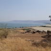 Vanaf deze berg hebben een prachtig zicht op het meer van Galilea.