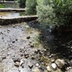Banias, de bronnen van de Jordaan.
