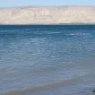 Zwemmen in het meer van Galilea