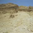 Na Qumran reden we naar Ein Gedi