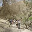 Ein Gedi is een prachtig gebied om te wandelen