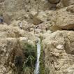 In Ein Gedi was David op de vlucht voor koning Saul