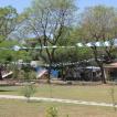 Nogmaals de kibbutz