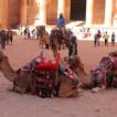 Petra 17