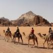 Wadi Rum 19 (enkele kamelen)
