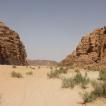 Wadi Rum 24