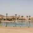 Timna Park 12 (Timna Oasis)