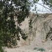 De wandeling naar de waterval van David