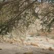 Prachtige foto's op weg naar de waterval